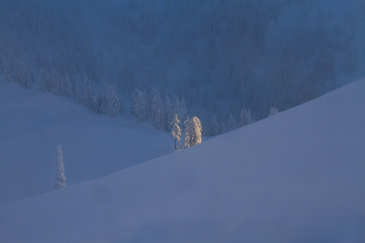 Beautiful winter landscape