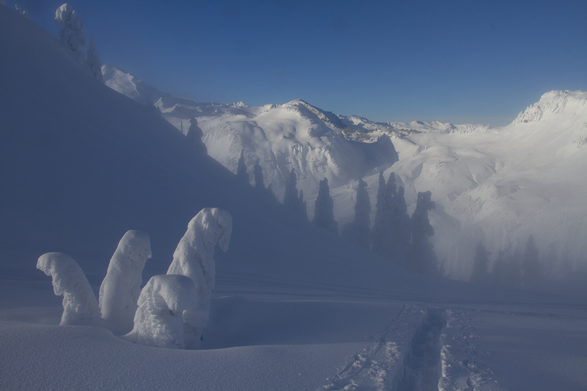 Beautiful winter landscape