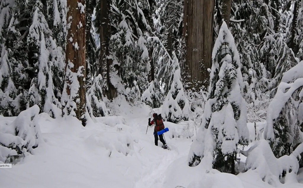 snowshoeing in the Pacific Northwest