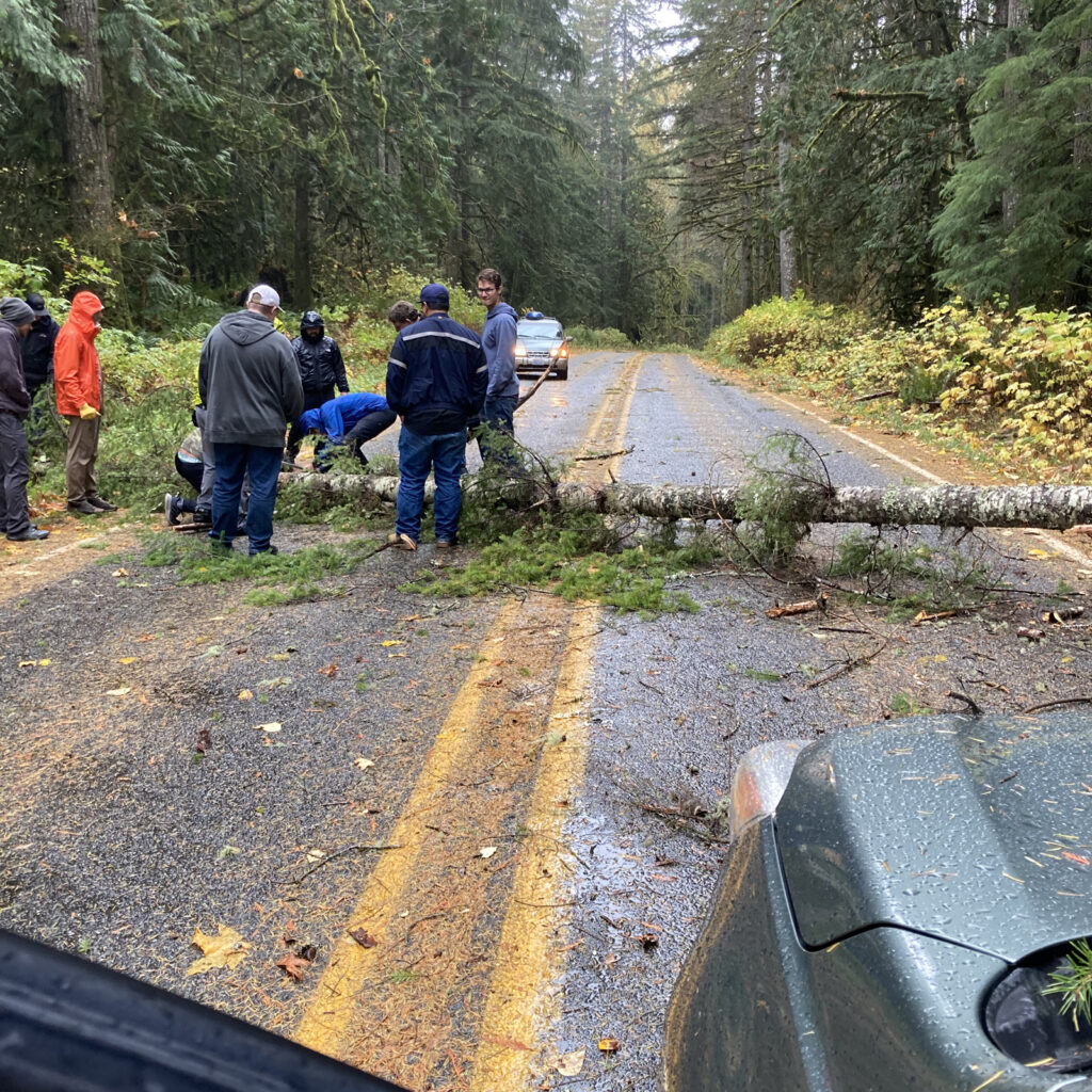 downed tree blocking road
