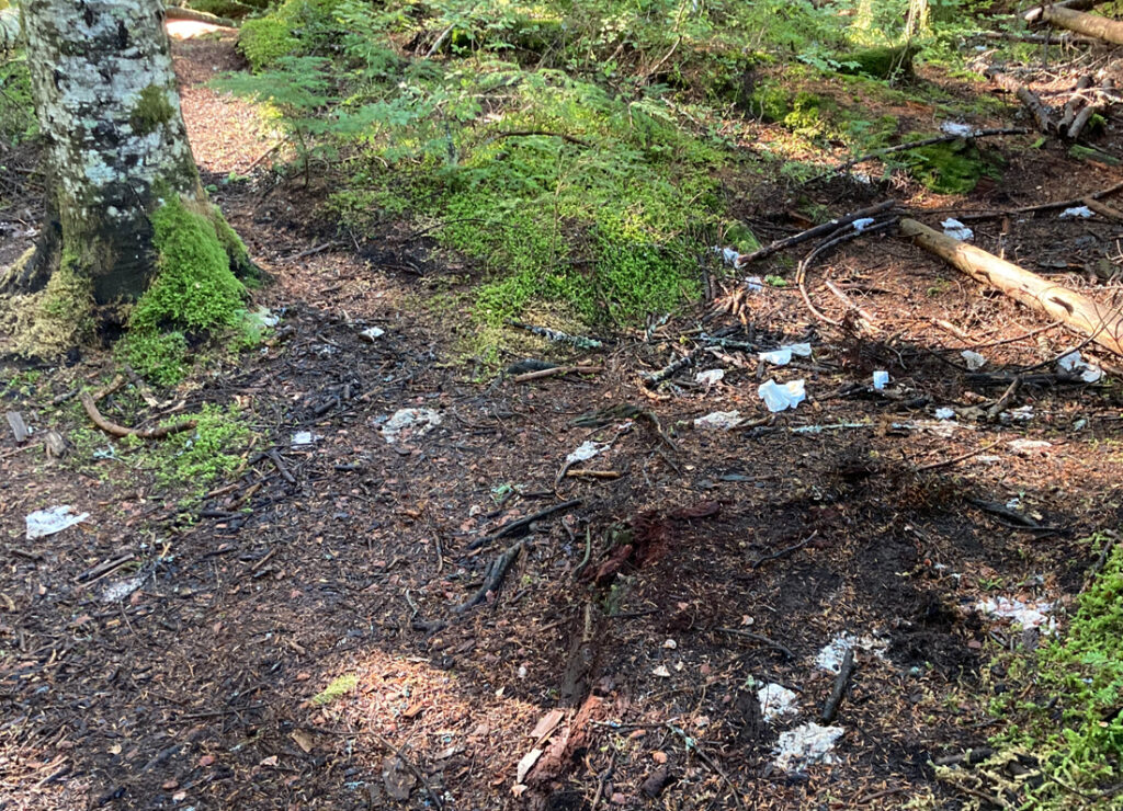 Discarded toilet paper at popular trailhead
