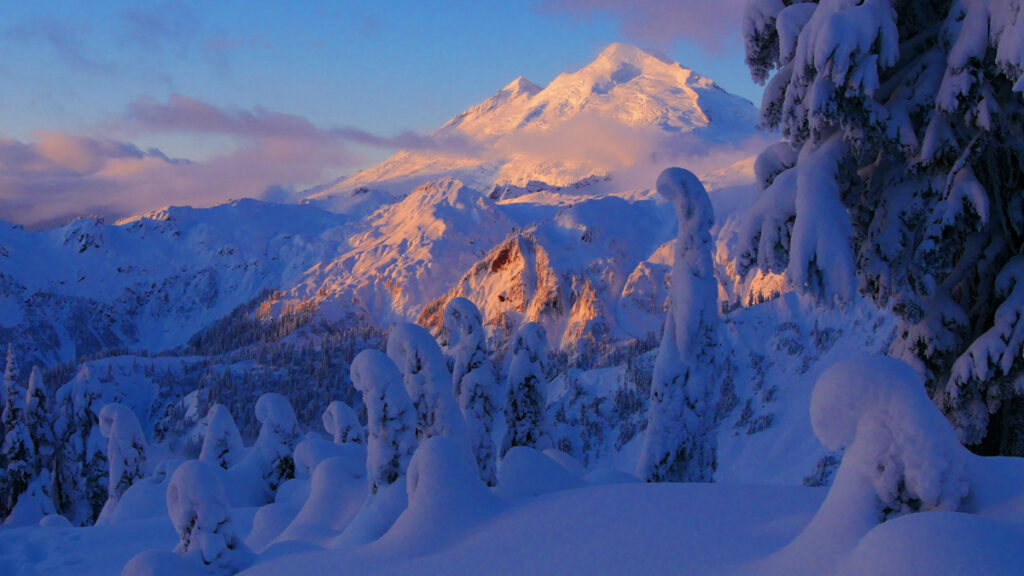 winter landscape