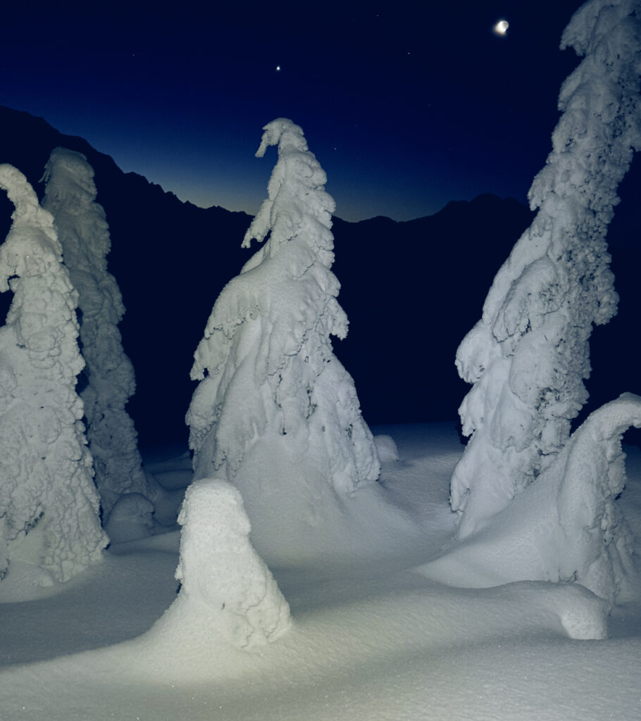 winter landscape at night