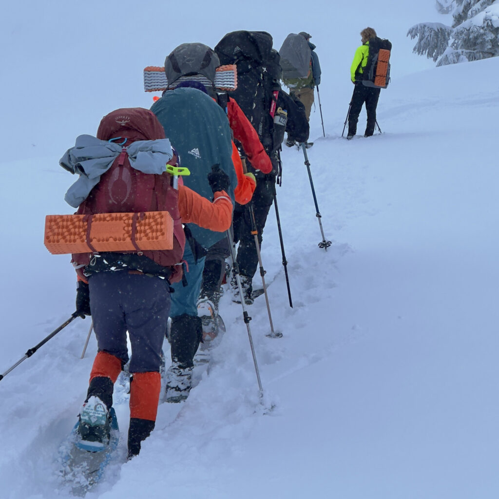 group hiking together